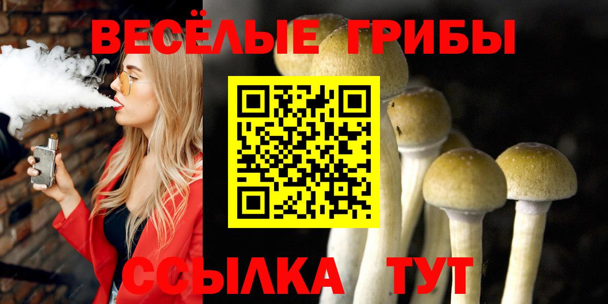 Волоколамск  Псилоцибиновые грибы Psilocybe  наркошоп  Галлюциногенные грибы MAGIC MUSHROOMS  Вход с VPN 