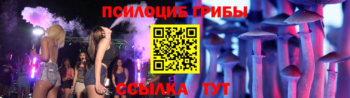 Псилоцибиновые грибы мицелий Волоколамск