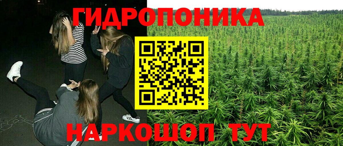 Канабис индика Волоколамск